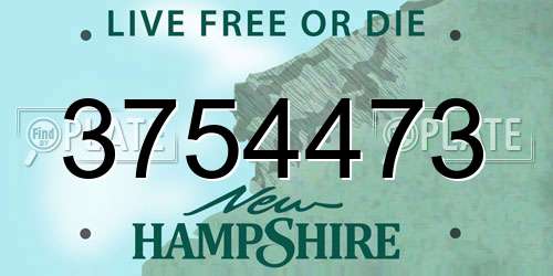 3754473 New Hampshire License Plate