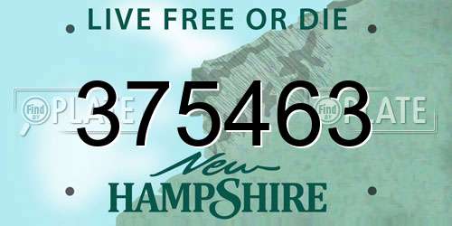 375463 New Hampshire License Plate