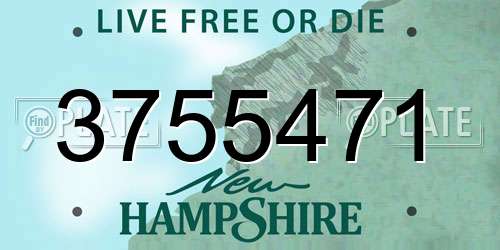 3755471 New Hampshire License Plate