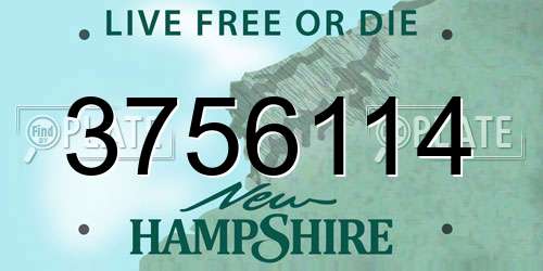 3756114 New Hampshire License Plate