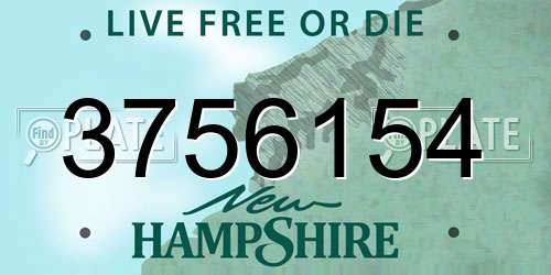 3756154 New Hampshire License Plate