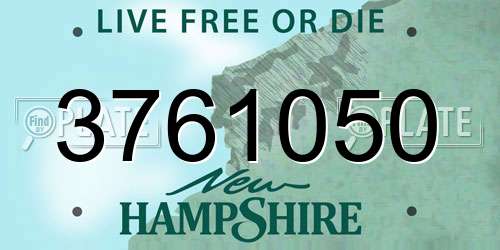 3761050 New Hampshire License Plate