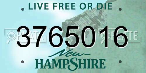 3765016 New Hampshire License Plate