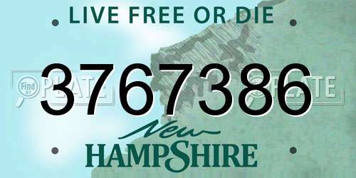 3767386 New Hampshire License Plate