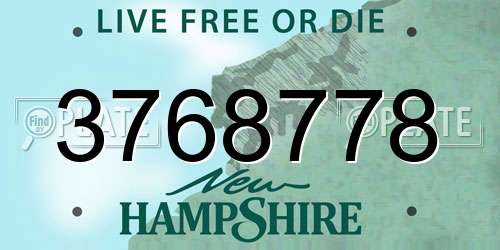 3768778 New Hampshire License Plate