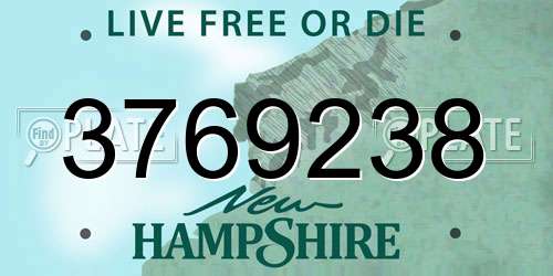 3769238 New Hampshire License Plate