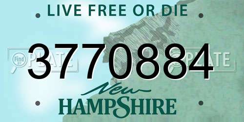 3770884 New Hampshire License Plate
