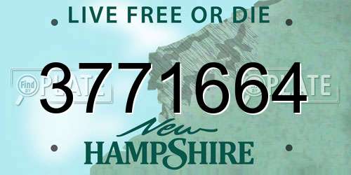 3771664 New Hampshire License Plate