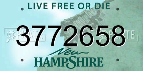 3772658 New Hampshire License Plate