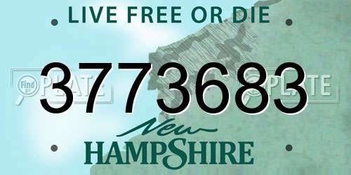 3773683 New Hampshire License Plate