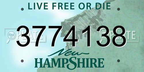 3774138 New Hampshire License Plate