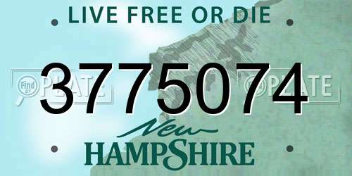 3775074 New Hampshire License Plate
