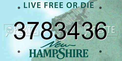 3783436 New Hampshire License Plate