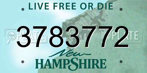 3783772 New Hampshire License Plate