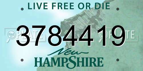 3784419 New Hampshire License Plate