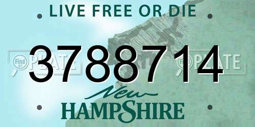 3788714 New Hampshire License Plate