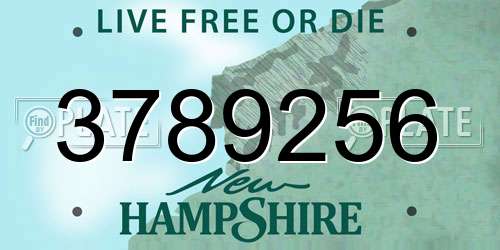 3789256 New Hampshire License Plate