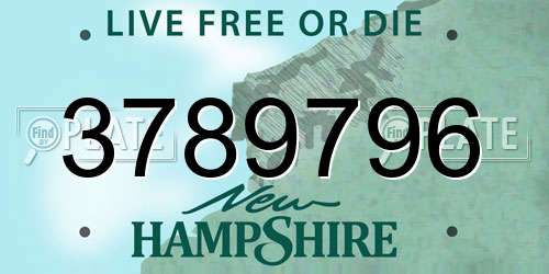 3789796 New Hampshire License Plate