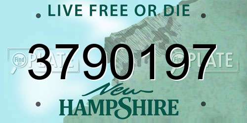 3790197 New Hampshire License Plate
