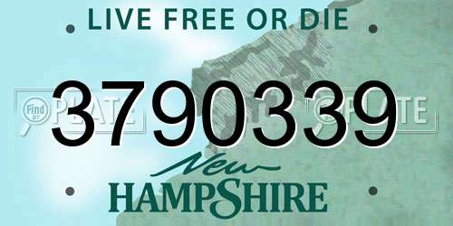 3790339 New Hampshire License Plate