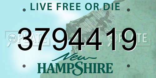 3794419 New Hampshire License Plate