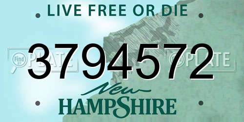 3794572 New Hampshire License Plate