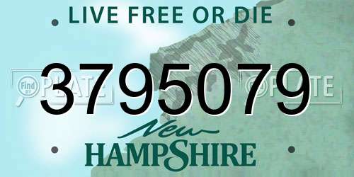 3795079 New Hampshire License Plate