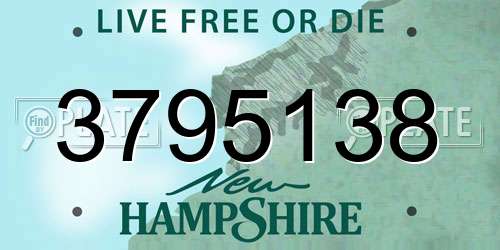 3795138 New Hampshire License Plate