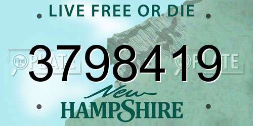 3798419 New Hampshire License Plate