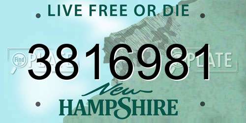 3816981 New Hampshire License Plate