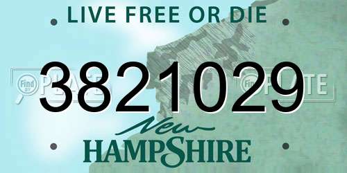 3821029 New Hampshire License Plate