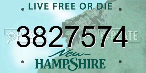 3827574 New Hampshire License Plate