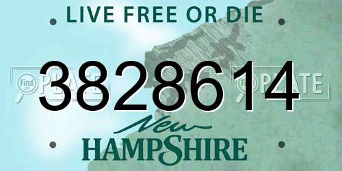 3828614 New Hampshire License Plate