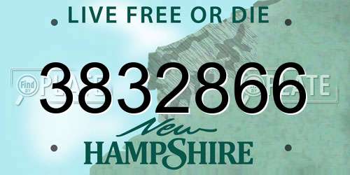 3832866 New Hampshire License Plate