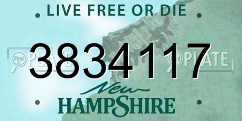 3834117 New Hampshire License Plate