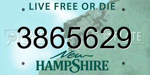 3865629 New Hampshire License Plate
