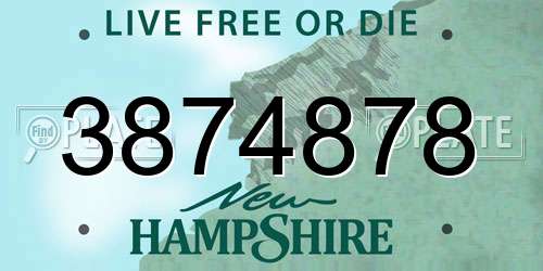 3874878 New Hampshire License Plate
