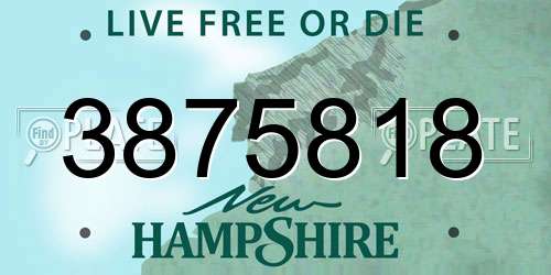 3875818 New Hampshire License Plate