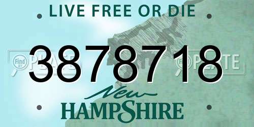 3878718 New Hampshire License Plate