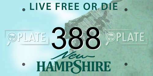 388 New Hampshire License Plate
