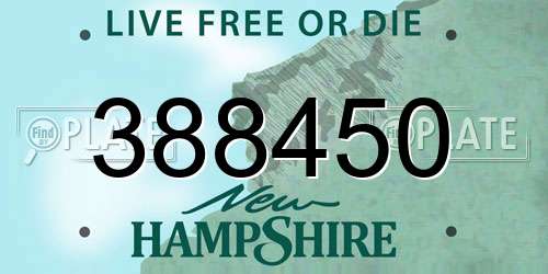 388450 New Hampshire License Plate