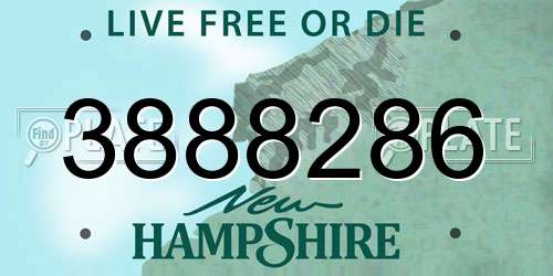 3888286 New Hampshire License Plate