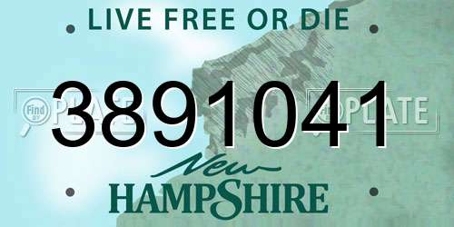 3891041 New Hampshire License Plate