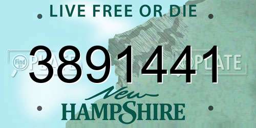 3891441 New Hampshire License Plate