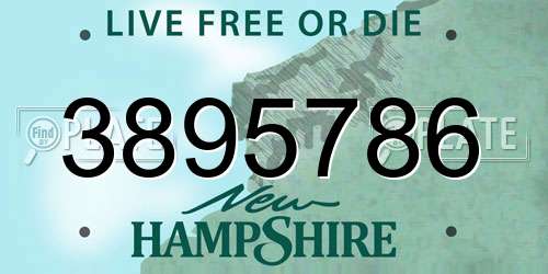 3895786 New Hampshire License Plate