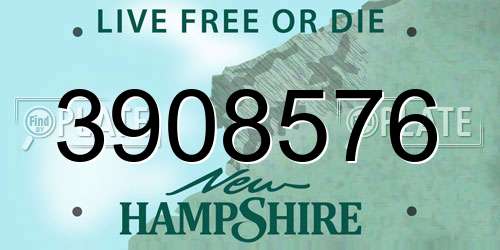 3908576 New Hampshire License Plate
