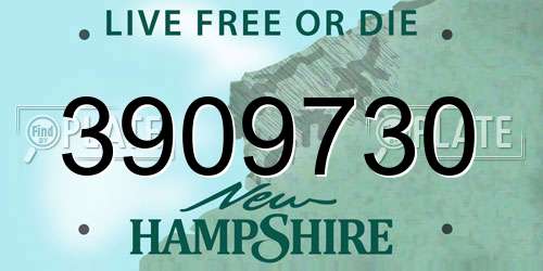 3909730 New Hampshire License Plate