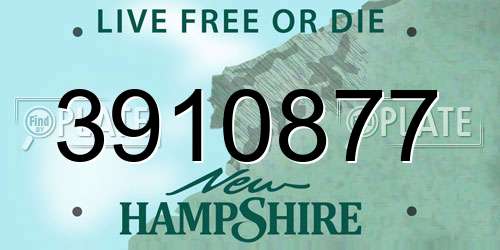 3910877 New Hampshire License Plate