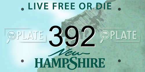 392 New Hampshire License Plate