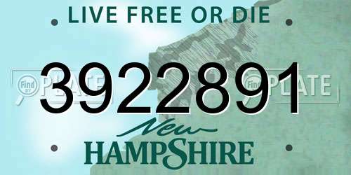3922891 New Hampshire License Plate